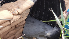 Installation of the new concrete bags supporting the culvert.