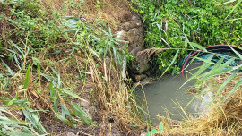 Blankney Fen Culvert Before Work Commenced